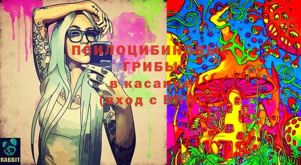 крисы Гусев
