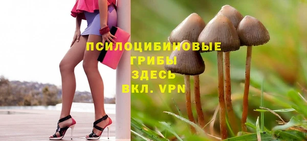 ГАЛЛЮЦИНОГЕННЫЕ ГРИБЫ Гусь-Хрустальный