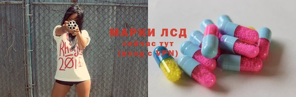 крисы Гусев