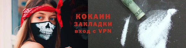 ГАЛЛЮЦИНОГЕННЫЕ ГРИБЫ Гусь-Хрустальный