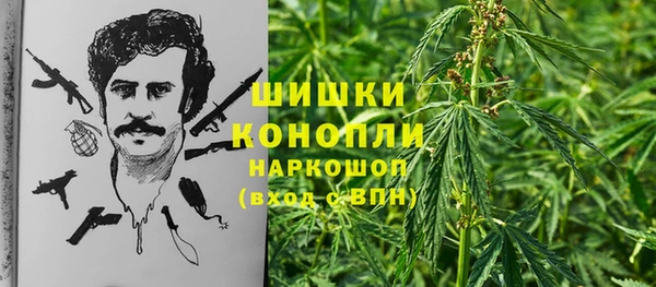 ГАЛЛЮЦИНОГЕННЫЕ ГРИБЫ Гусь-Хрустальный