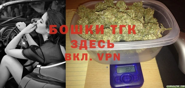 ГАЛЛЮЦИНОГЕННЫЕ ГРИБЫ Гусь-Хрустальный