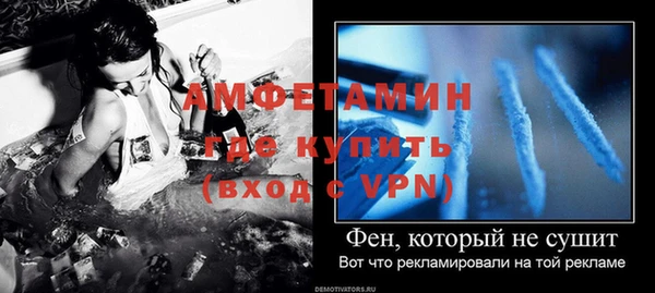 ГАЛЛЮЦИНОГЕННЫЕ ГРИБЫ Гусь-Хрустальный
