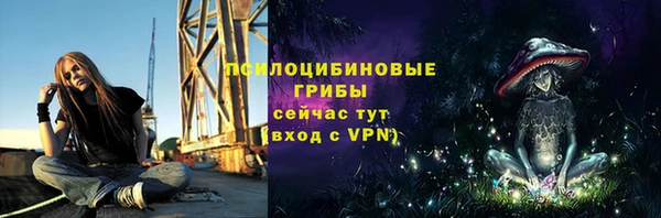 крисы Гусев