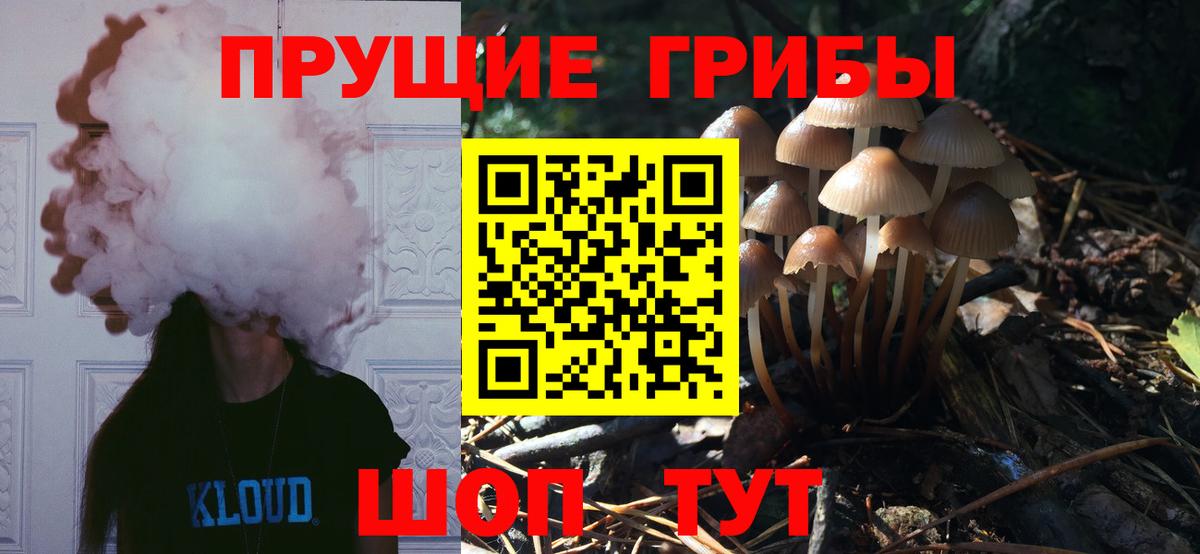 Псилоцибиновые грибы ЛСД Гусев