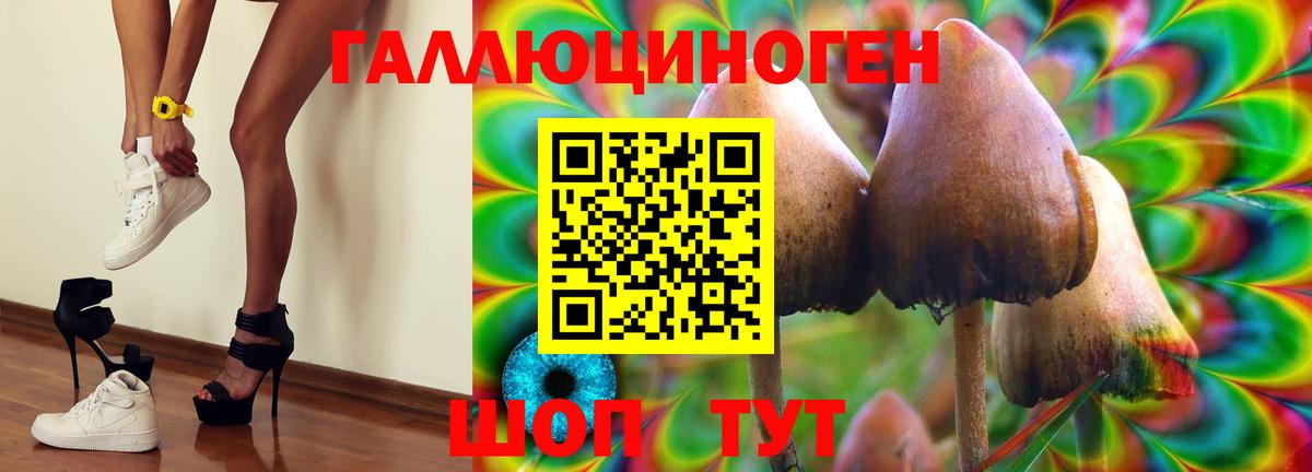 Галлюциногенные грибы ЛСД  Вход с VPN  Гусев 